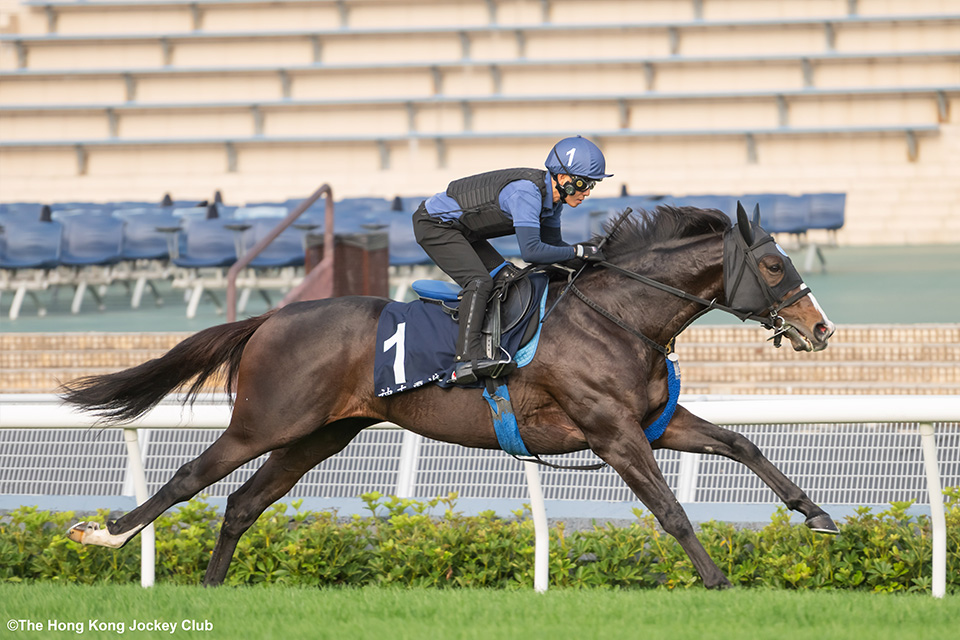 ソウルラッシュの画像