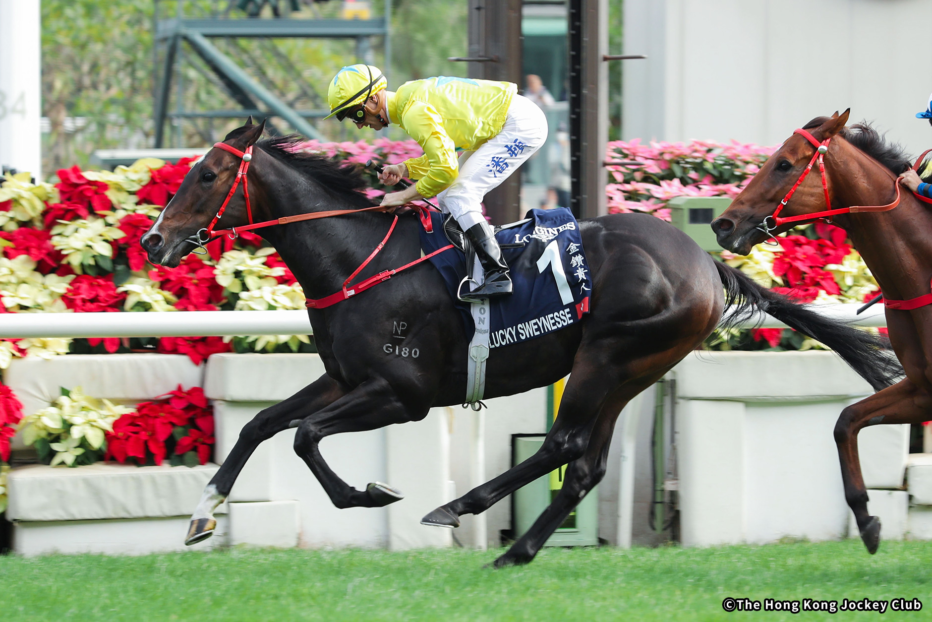 2023�N �D���n�F���b�L�[�X���C�l�X