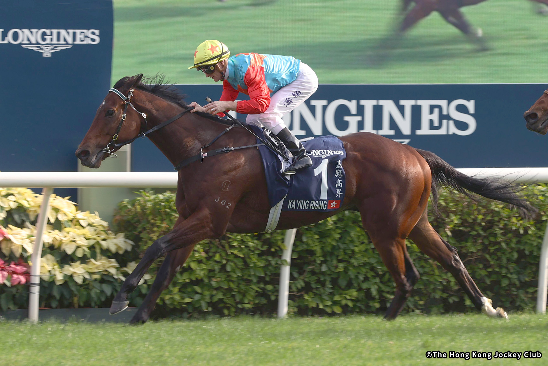 2024�N �D���n�F�J�[�C�����C�W���O