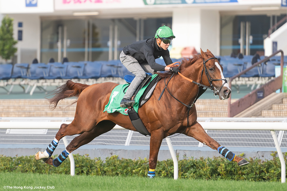 アーバンシックの画像