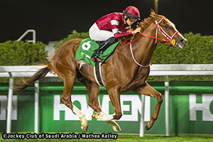 出走馬情報：2025年アイリッシュチャンピオンステークス 海外競馬発売 JRA