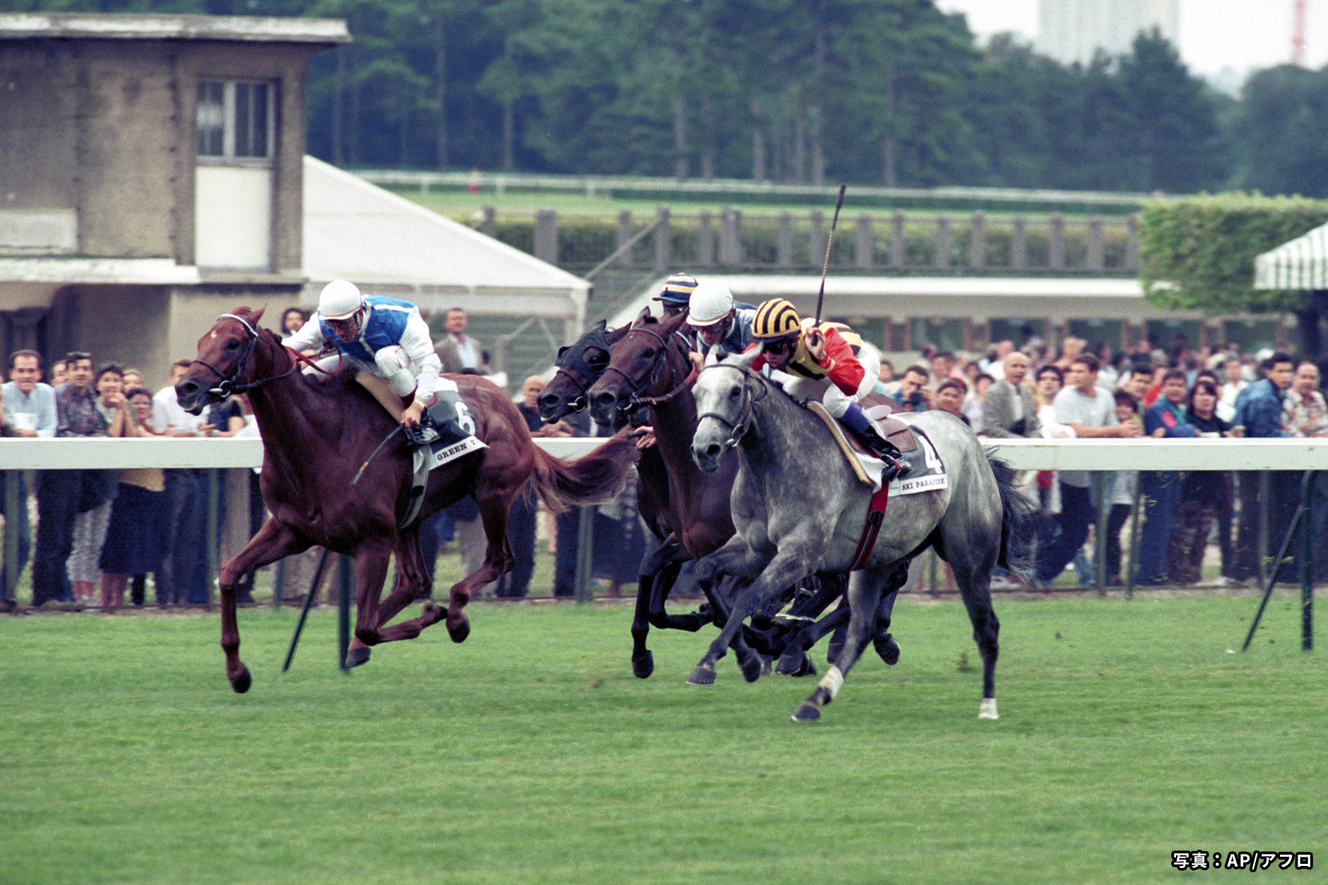 1994�N �D���n�F�X�L�[�p���_�C�X