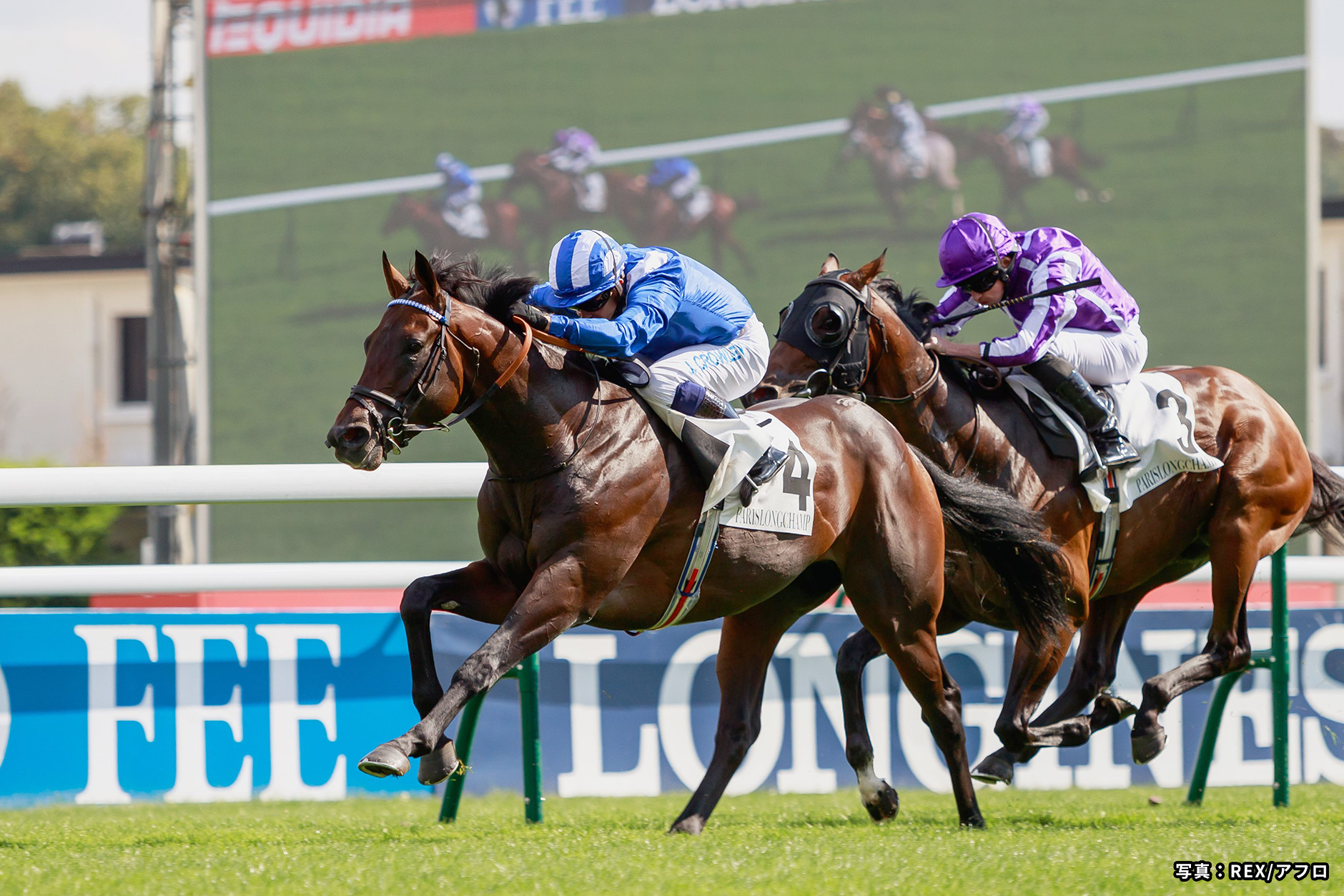 2021�N �D���n�F�o�[�C�[�h