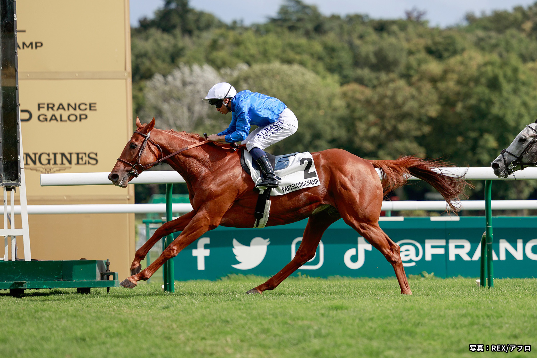 2024�N �D���n�F�g���o���X�g