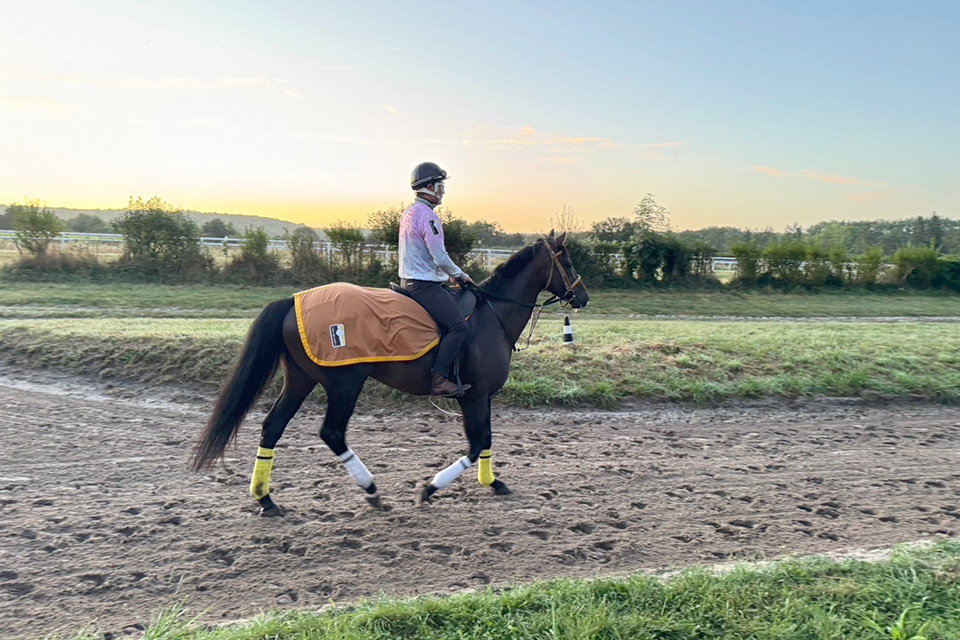 ゴートゥファーストの画像