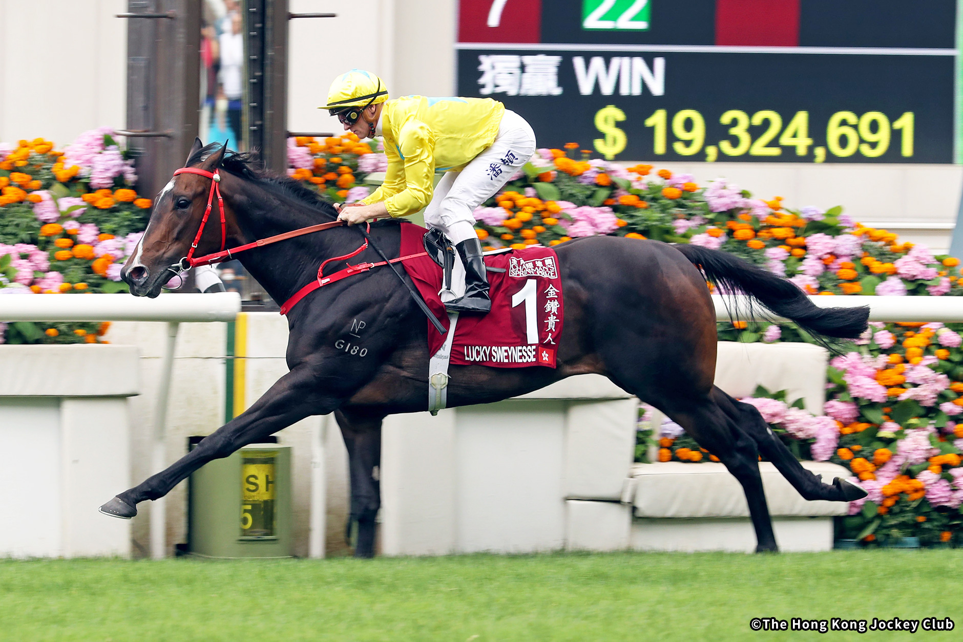 2023�N �D���n�F���b�L�[�X���C�l�X