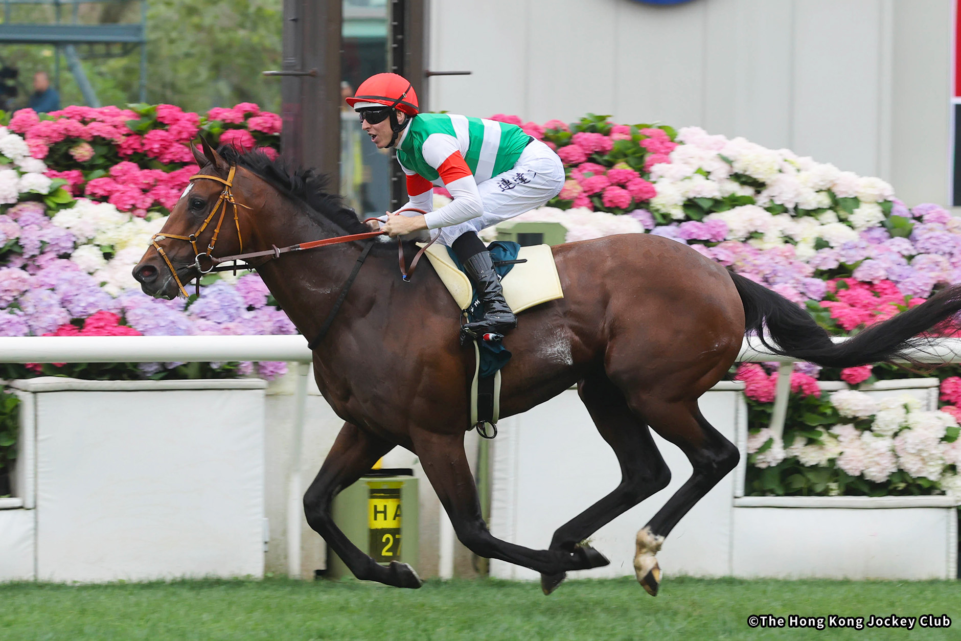 2025�N �D���n�F�^�X�e�B�G�[��