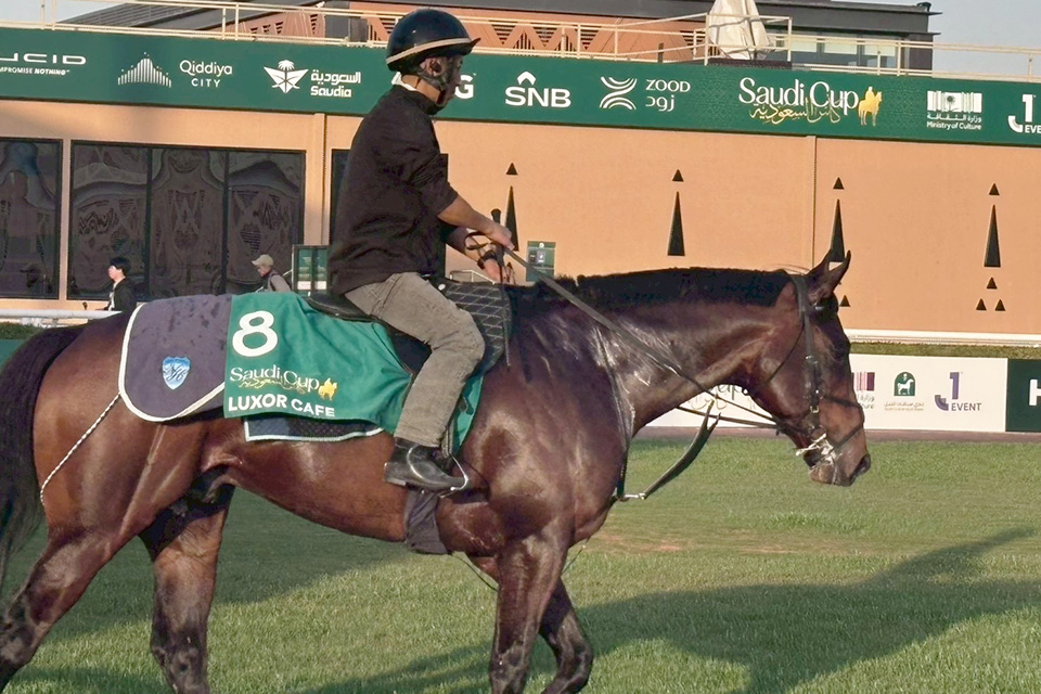 ���N�\�[���J�t�F�̉摜