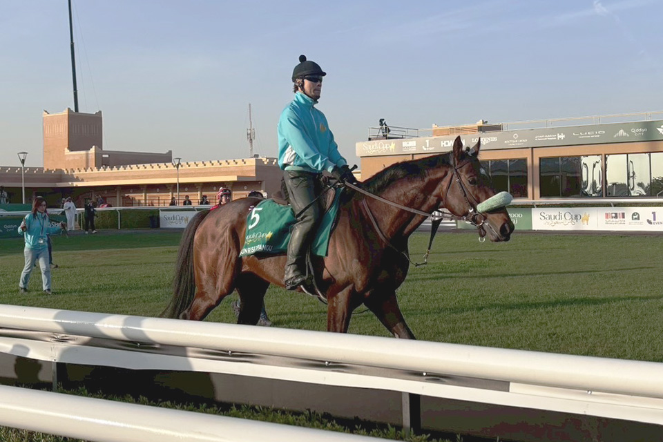 �T�����C�Y�W�p���O�̉摜