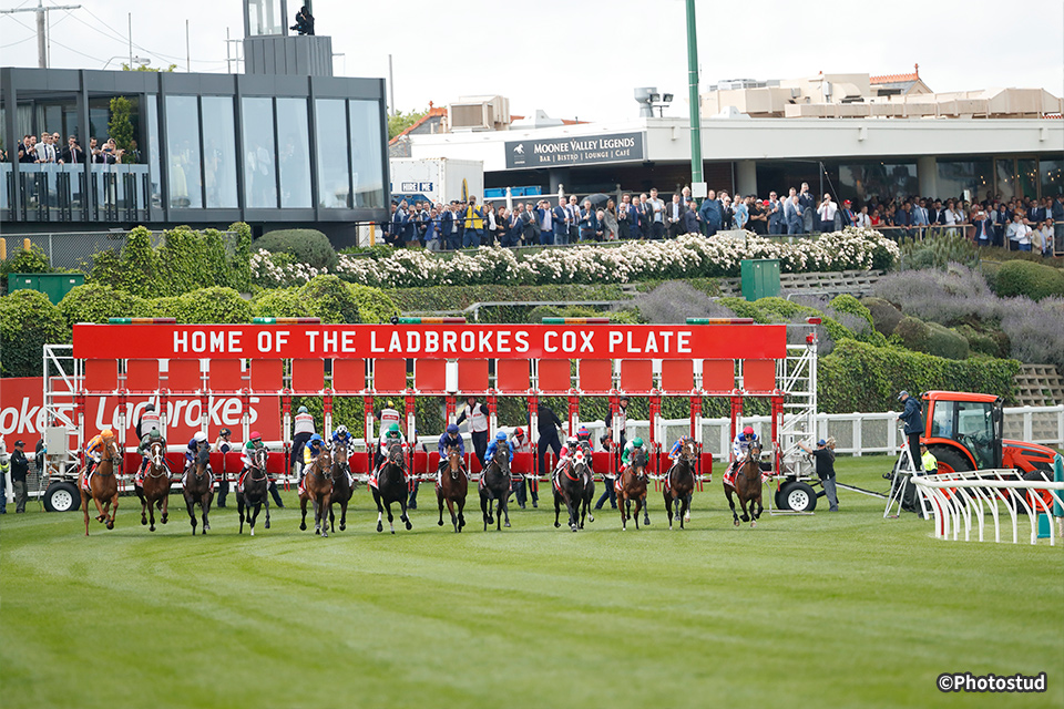 �I�[�X�g�����A���n�̎ʐ^