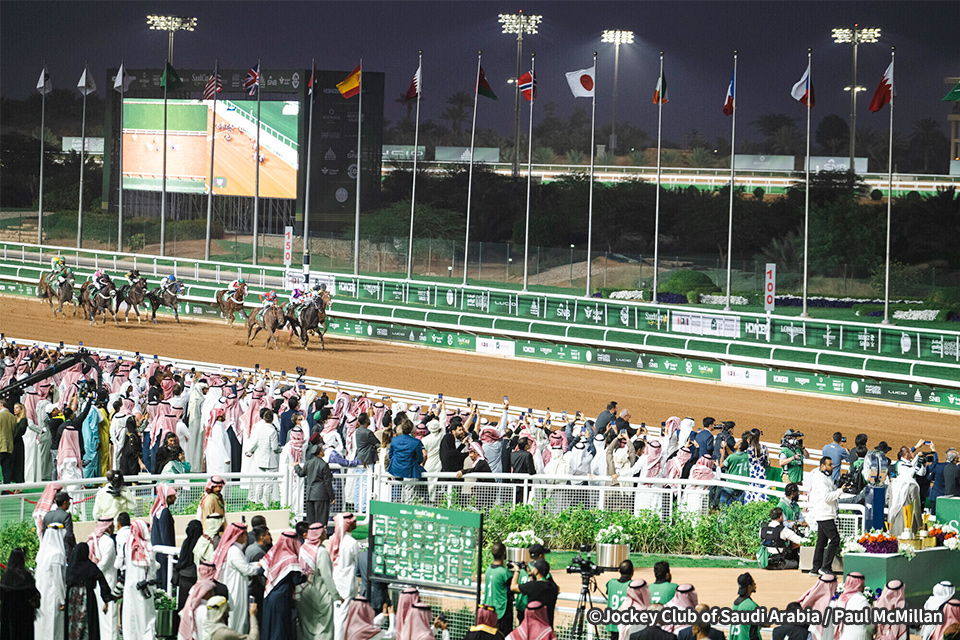 �T�E�W�A���r�A���n�̎ʐ^