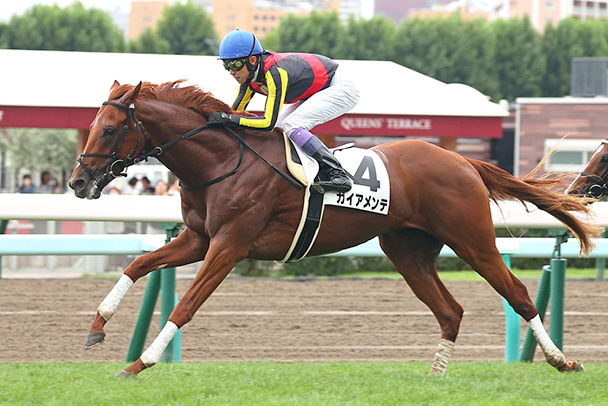 出走馬情報：札幌2歳ステークス 今週の注目レース JRA