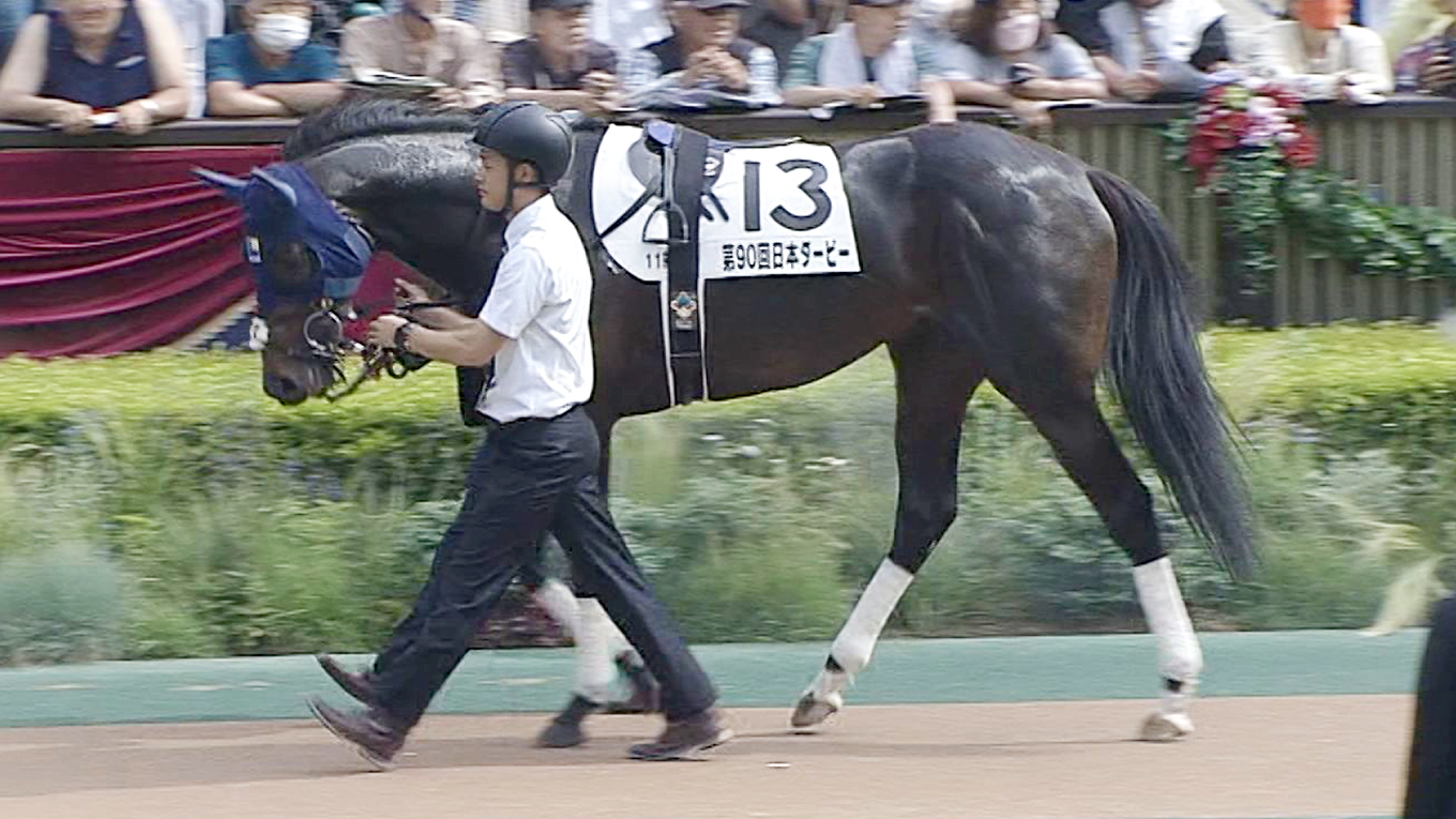 出走馬情報：神戸新聞杯 今週の注目レース JRA