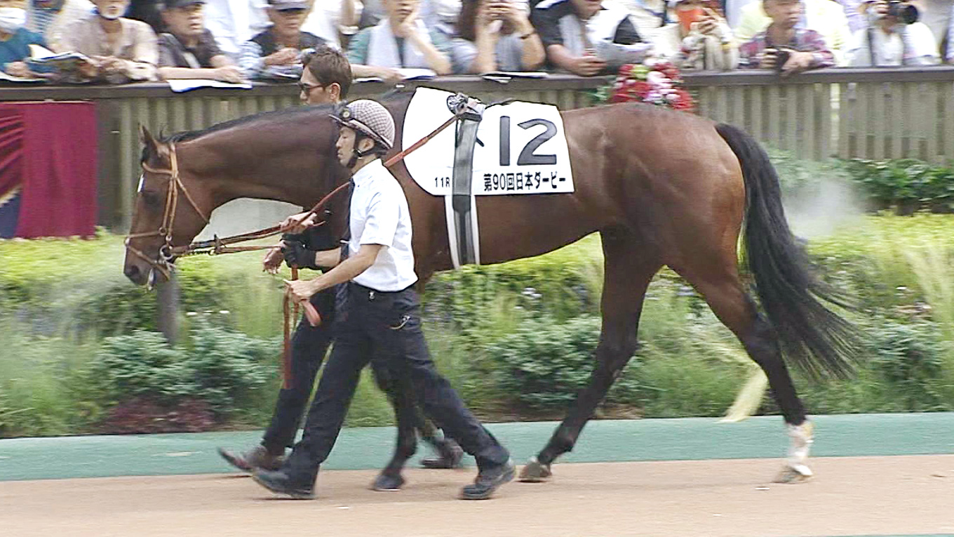 出走馬情報：菊花賞 今週の注目レース JRA