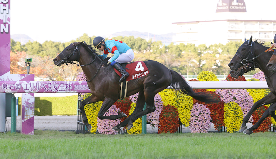 歴史・コース：スワンステークス 今週の注目レース JRA