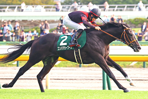 出走馬情報：ホープフルステークス 今週の注目レース JRA