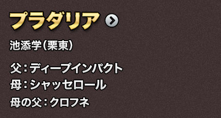 �v���_���A