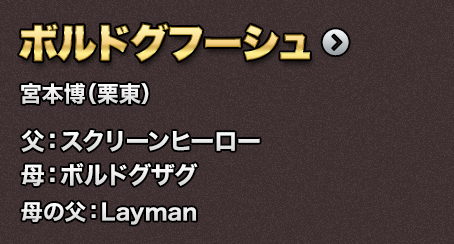 �{���h�O�t�[�V��