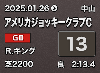 �A�����J�W���b�L�[�N���uC 13��