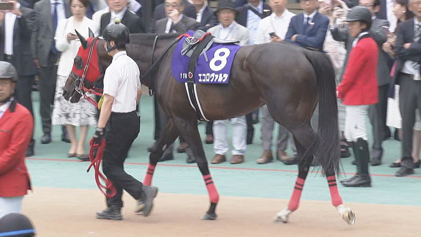 中京競馬　記念品 中京競馬 記念品