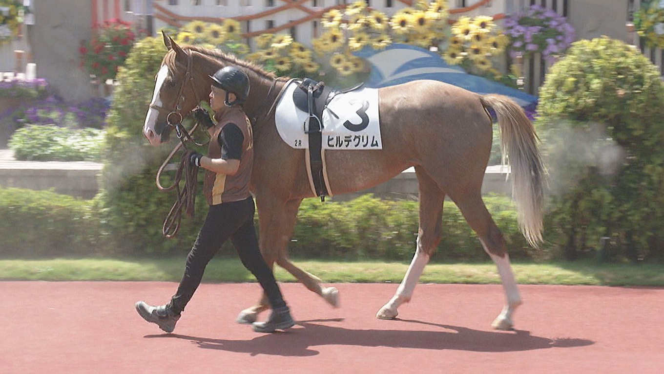 出走馬情報：新潟2歳ステークス 今週の注目レース JRA