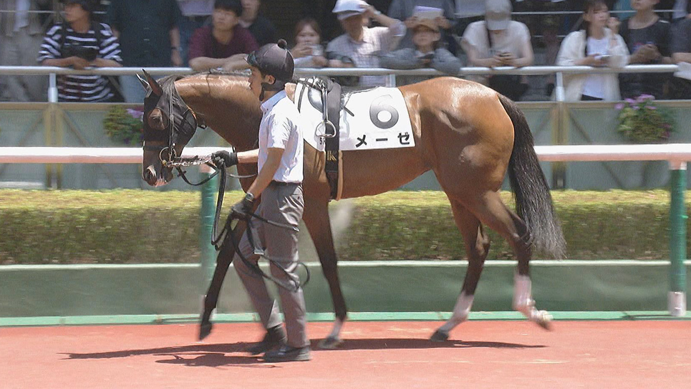 出走馬情報：新潟2歳ステークス 今週の注目レース JRA