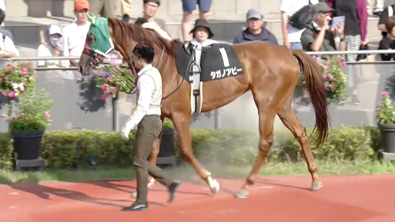 出走馬情報：関西テレビ放送賞ローズステークス 今週の注目レース JRA