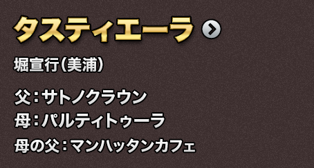 �^�X�e�B�G�[��