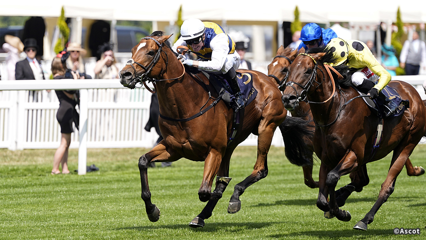 出走馬情報：マイルチャンピオンシップ 今週の注目レース JRA