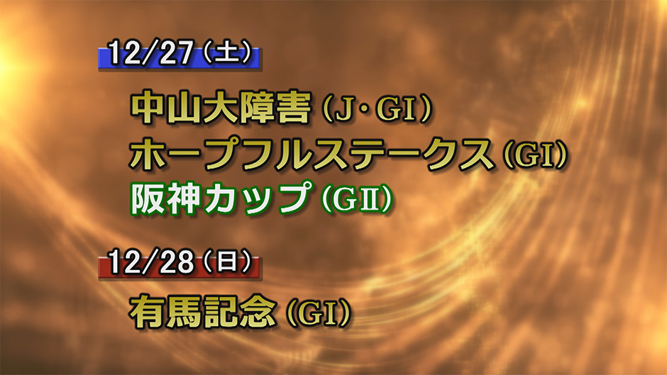 �d�܃v���r���[