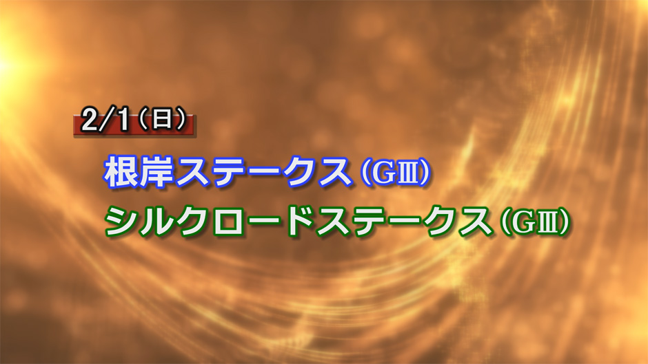 �d�܃v���r���[