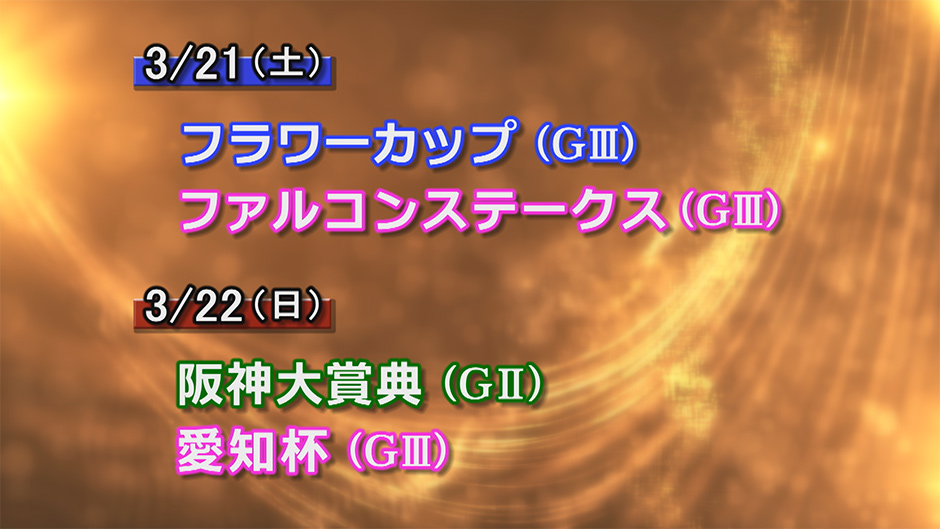 �d�܃v���r���[