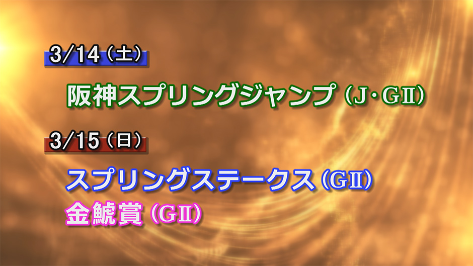 �d�܃v���r���[