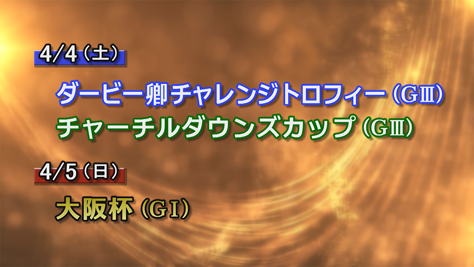 �d�܃v���r���[