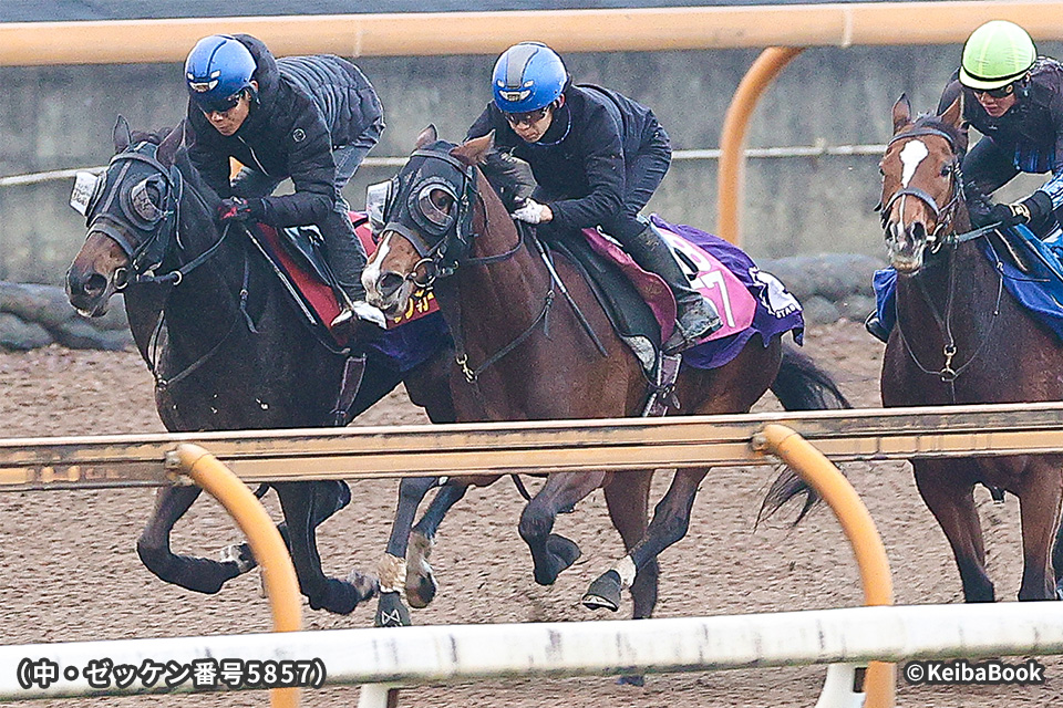 �A���W�F���e�[���̉摜