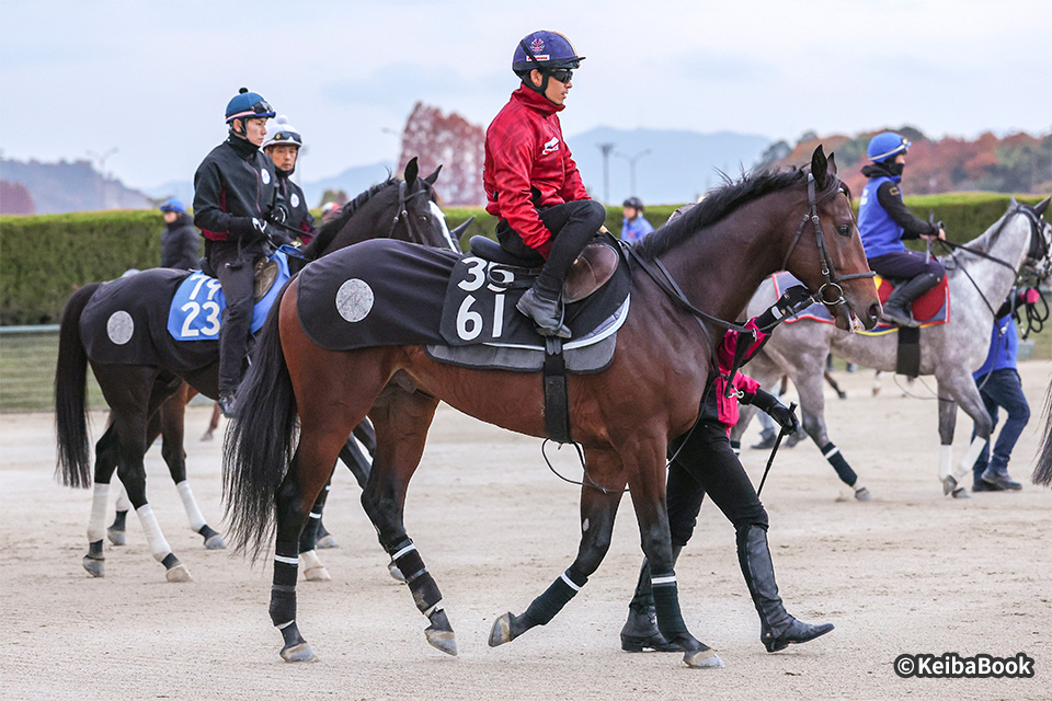 �y�[�W�^�[�i�[�̉摜