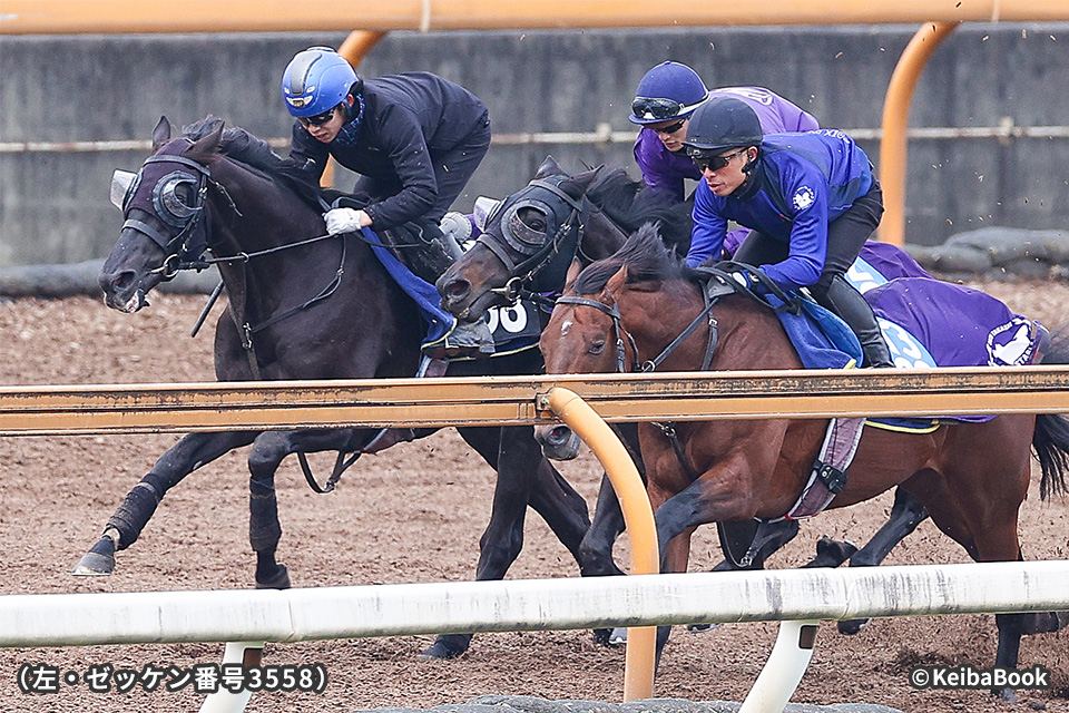 �x���V�[�g�̉摜