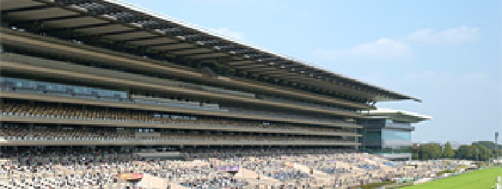 �������n��@�X�^���h�̎ʐ^