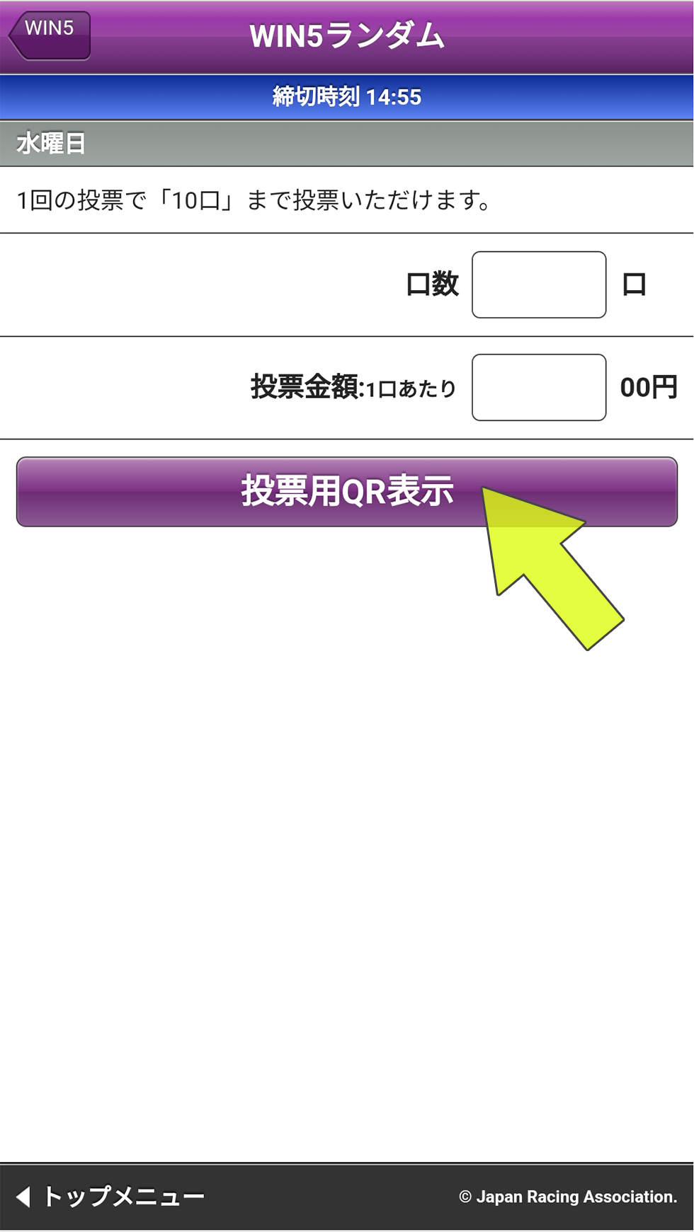 ウインファイブランダム金額入力