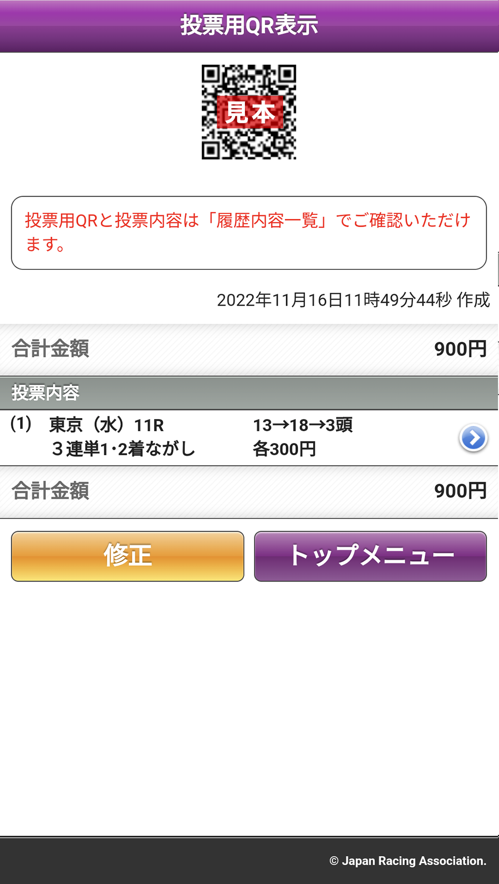 投票用QR表示画面のサンプル