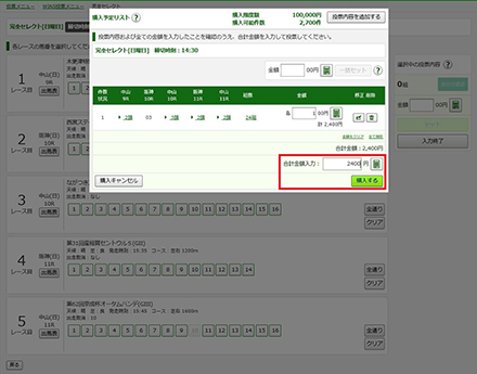 購入内容の確認画面