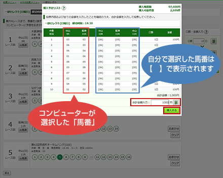 購入内容確認画面 自分で選択した馬番は【 】で表示されます