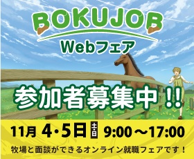 BOKUJOB　Webフェア