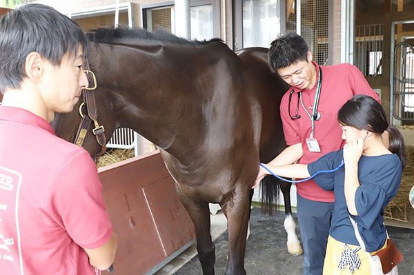 馬のお医者さん