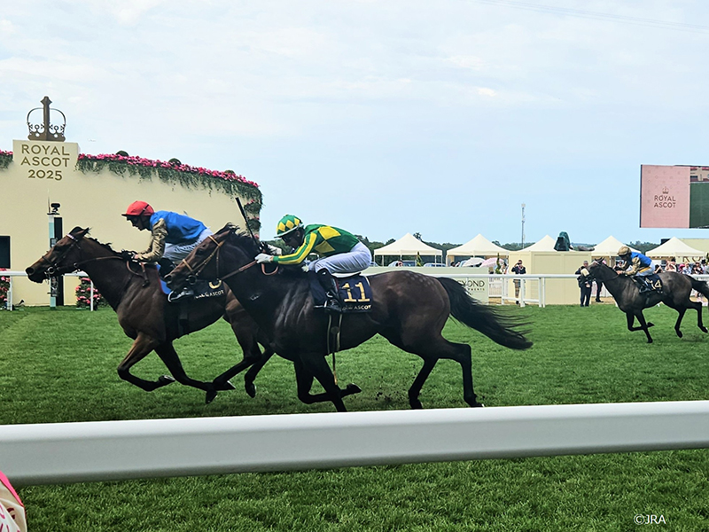 NC[GUxX2Wr[Xe[NXiG1j