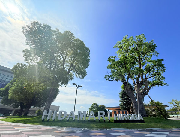 JRA 京都競馬場 100周年メモリアルデザイン 木製置時計 非売品