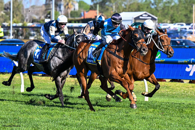 コーフィールドカップ(G1)