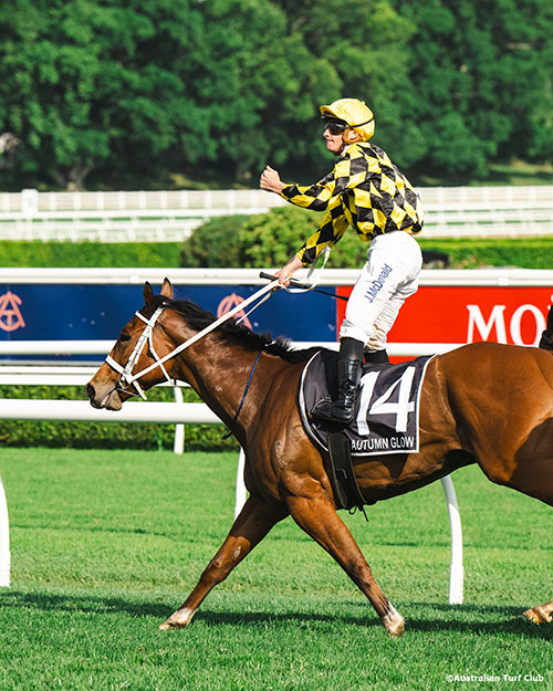 ゴールデンイーグル優勝馬