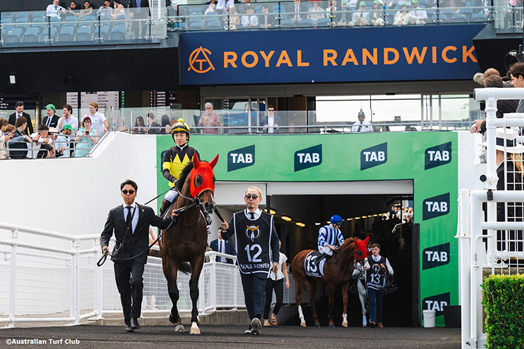 パンジャタワー