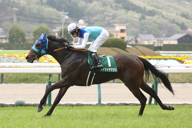 アドマイヤマツリ